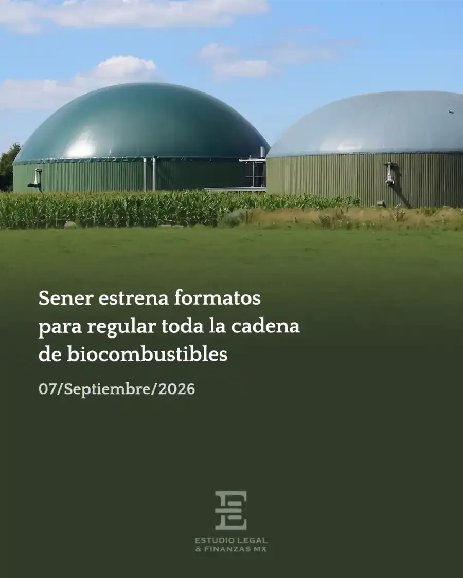 Sener estrena formatos para regular toda la cadena de biocombustibles. Empresas deberán acreditar desde accionistas hasta trazabilidad