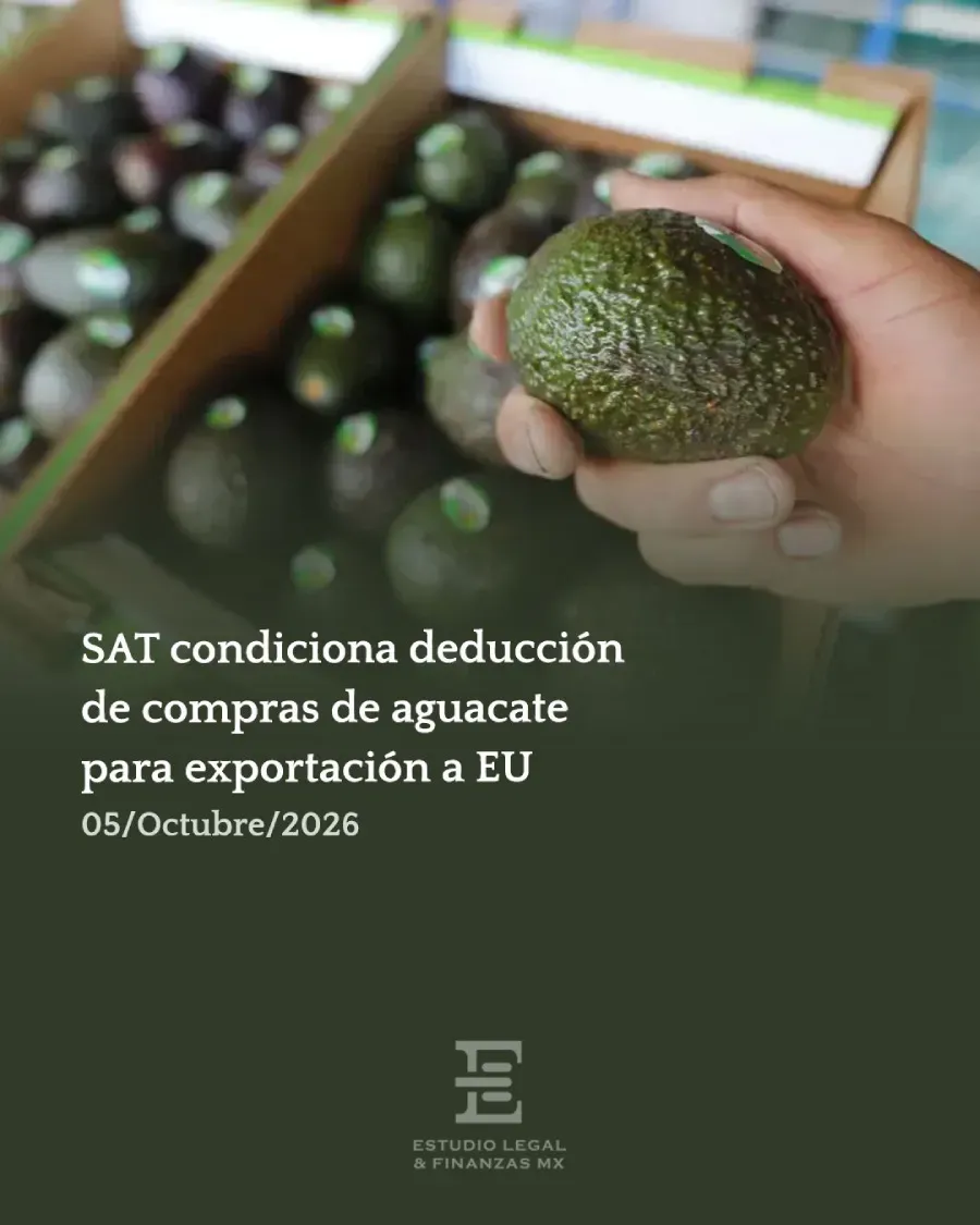 SAT condiciona deducción de compras de aguacate para exportación a EU